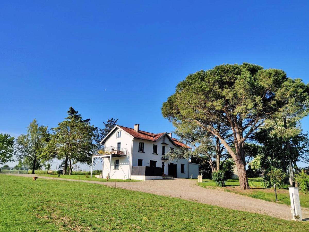 Le Cottage Duo Vigne Rouge Sauna Gaillac Entre Albi-Toulouse & Les Cottages Du Tarn Brens  Екстер'єр фото